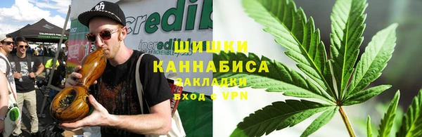 соль ск Пересвет